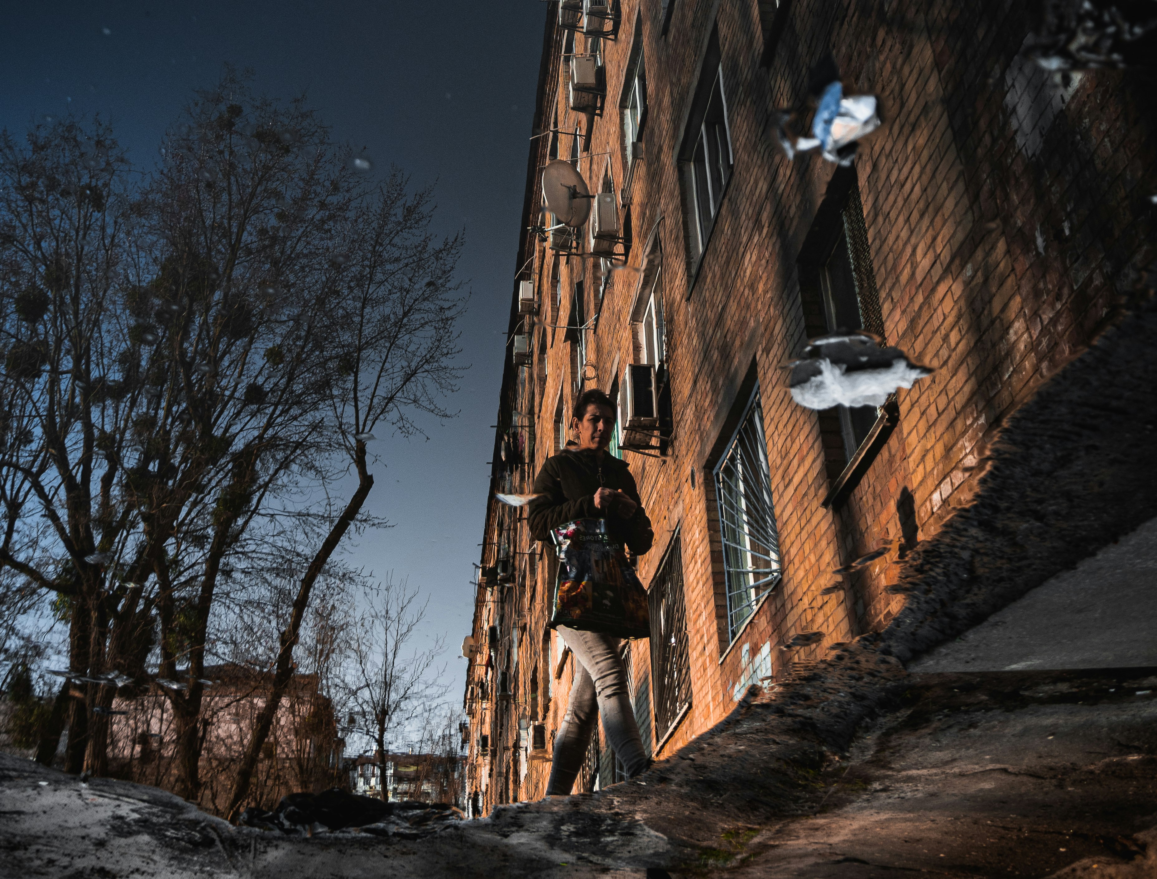 white bird flying over brown brick building during daytime